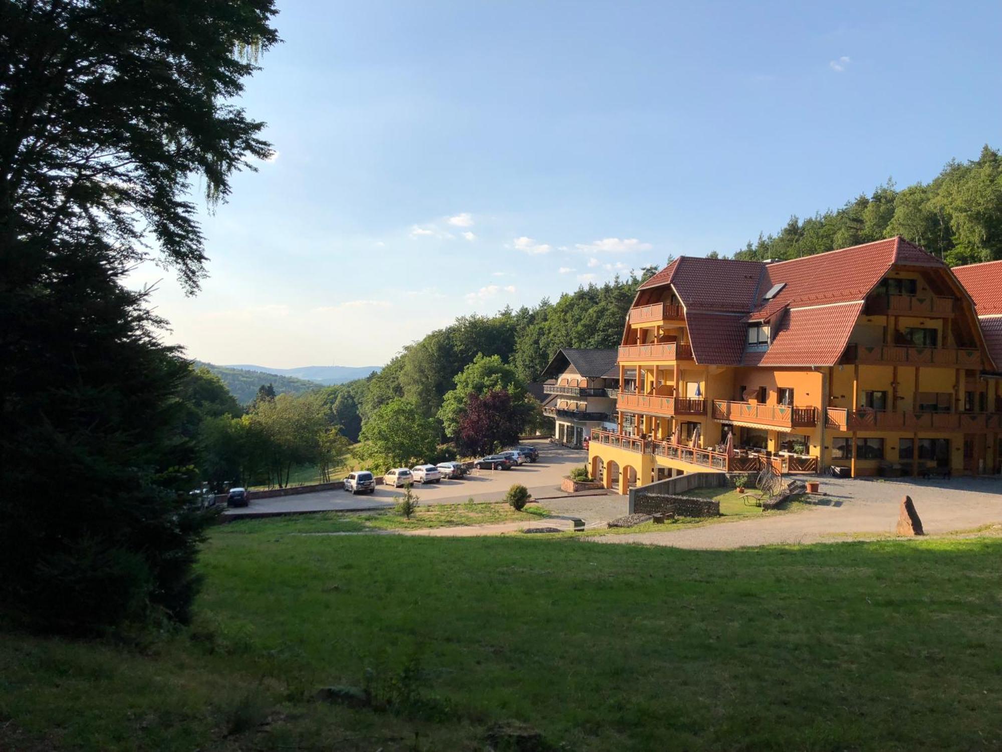 Wald-Hotel Heppe Dammbach Экстерьер фото